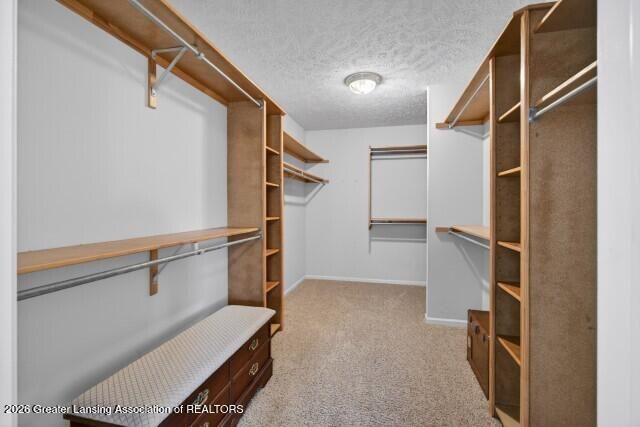 12321 Sea Pines Drive, Dewitt, MI 48820