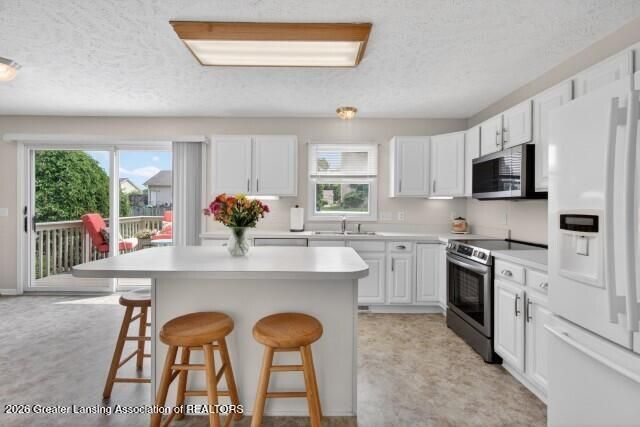 12321 Sea Pines Drive, Dewitt, MI 48820