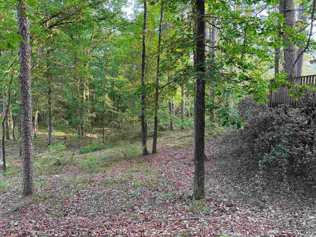 25 Kinderhook Rd., Edgemont, AR 72044