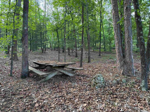 25 Kinderhook Rd., Edgemont, AR 72044