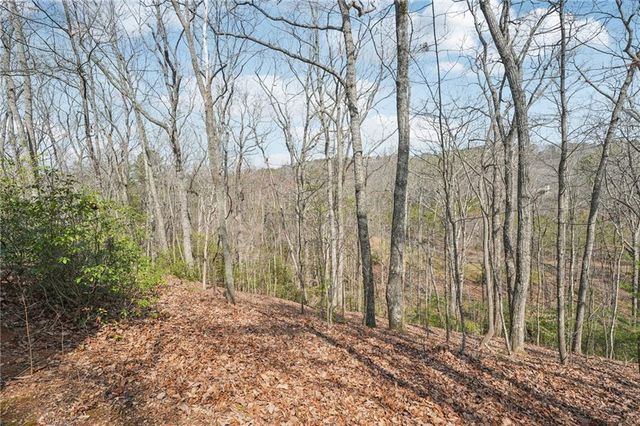 29 Red Trillium Ridge, Big Canoe, GA 30143