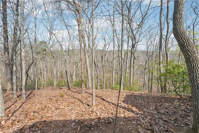 29 Red Trillium Ridge, Big Canoe, GA 30143