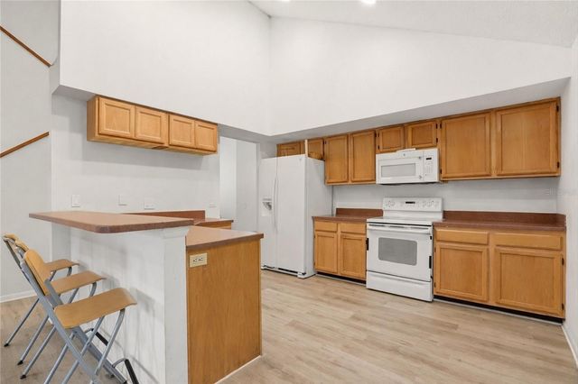 10402 ASHLEY OAKS DRIVE, Riverview, FL 33578