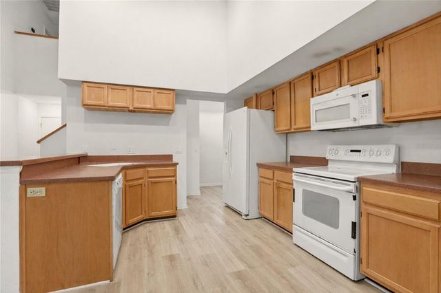 10402 ASHLEY OAKS DRIVE, Riverview, FL 33578