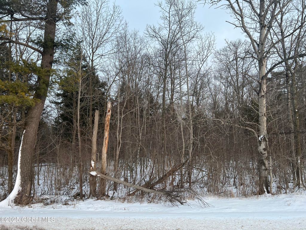 L24.12 Oswegatchie Road, Palatine Bridge, NY 13428
