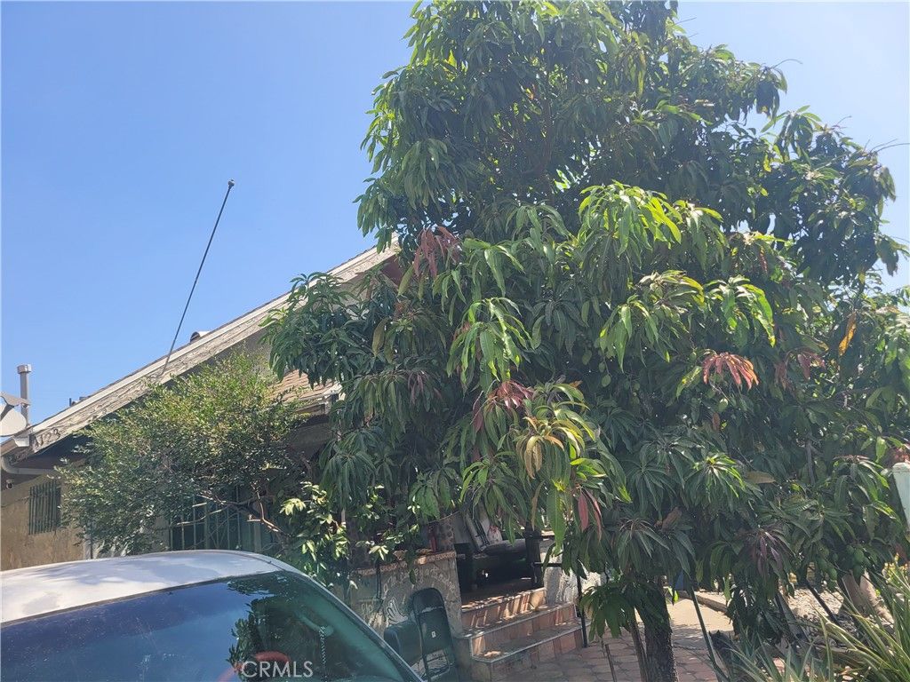 1123 E 57th, Los Angeles, CA 90011 — photo 3