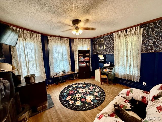 707 Buford Blvd, Fredericktown, MO 63645