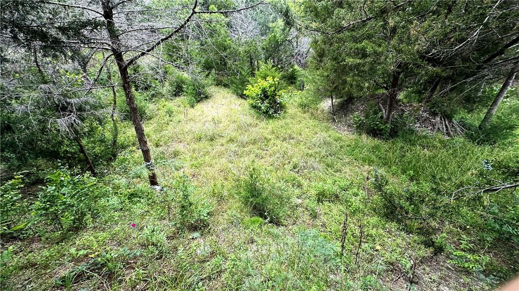6624 Misty Lane, North Zulch, TX 77872 — photo 3