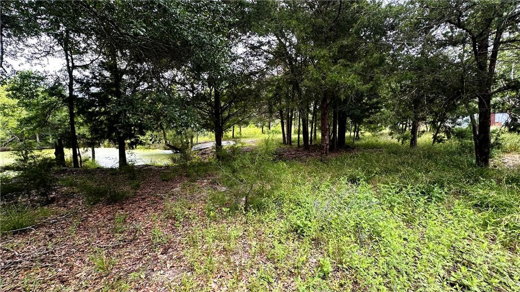 6624 Misty Lane, North Zulch, TX 77872 — photo 4