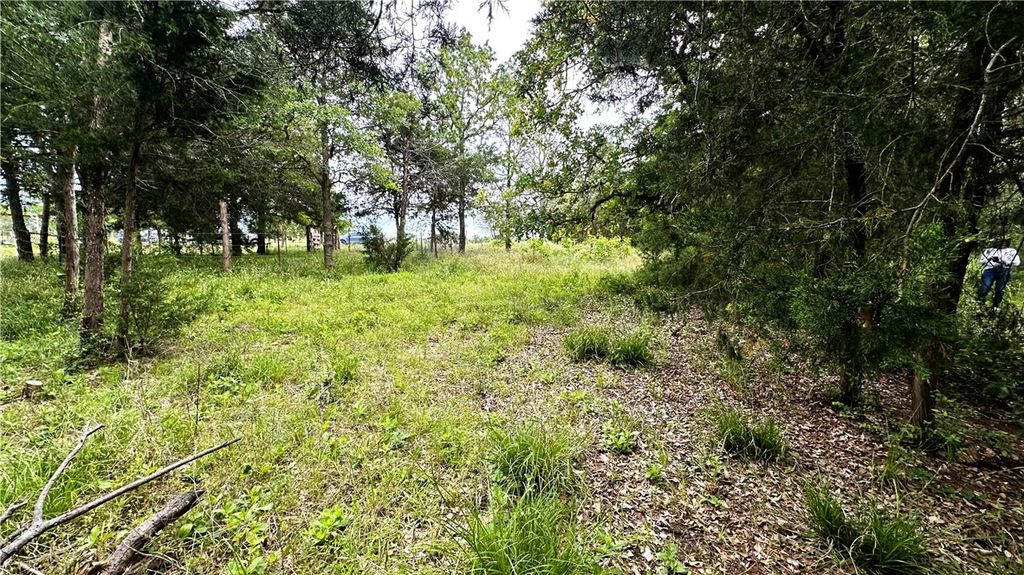 6624 Misty Lane, North Zulch, TX 77872 — photo 5