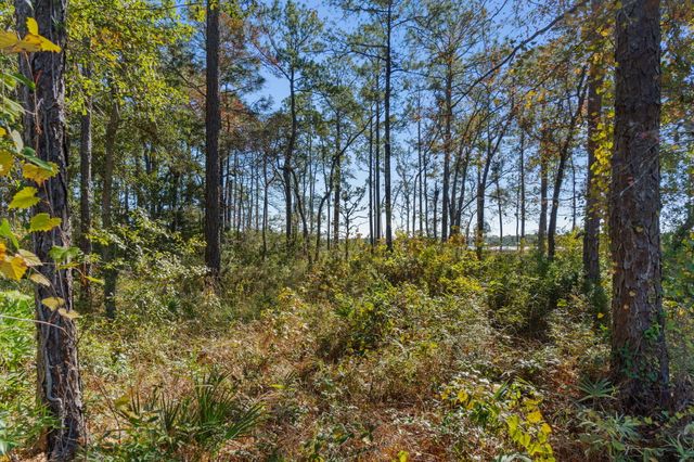 Lot 18 Bayside Drive, Freeport, FL 32439