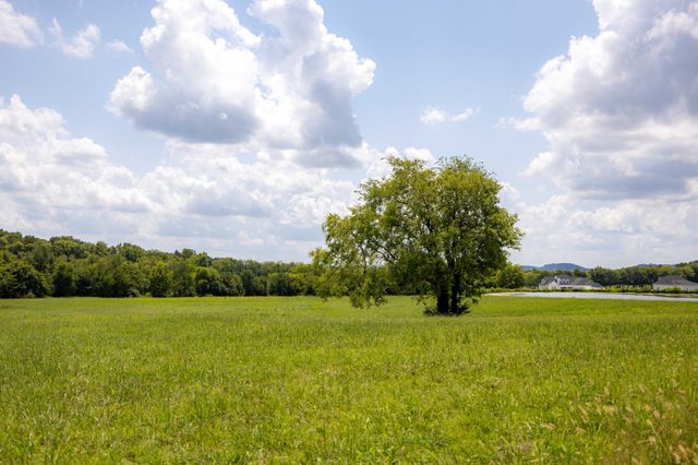 3009 Snowbird Ct, Franklin, TN 37064