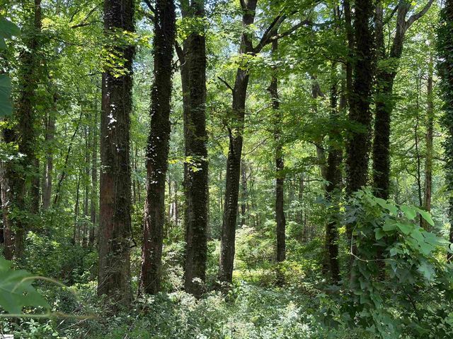125 N Gray Haven Lane, Easley, SC 29640