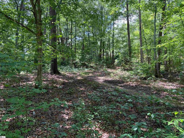 125 N Gray Haven Lane, Easley, SC 29640