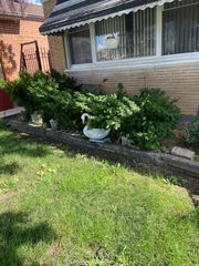 2321 W 81st Place, Chicago, IL 60620