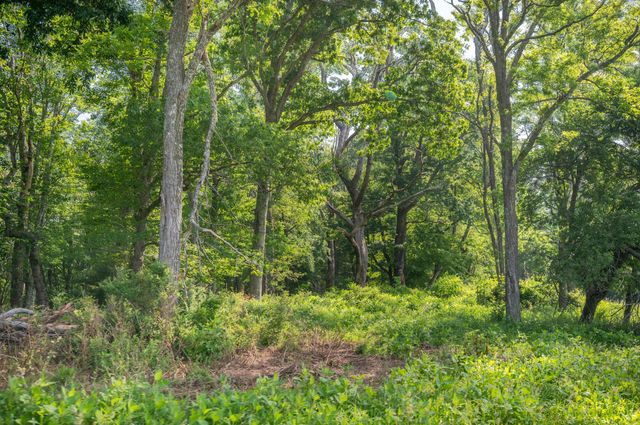 1073 Timberline RD SE, Copper Hill, VA 24079