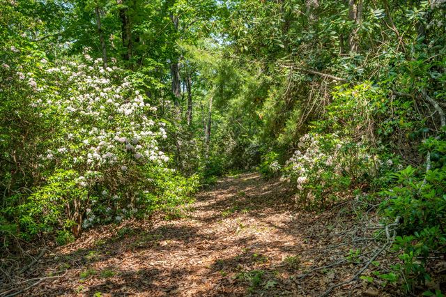 1073 Timberline RD SE, Copper Hill, VA 24079