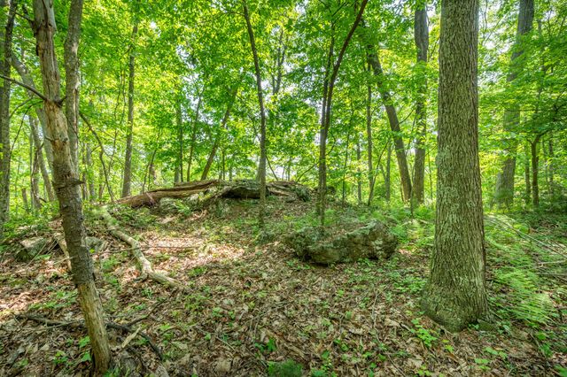 1073 Timberline RD SE, Copper Hill, VA 24079