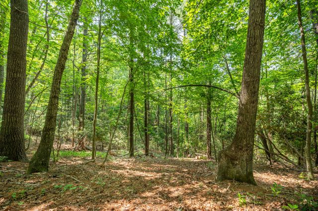 1073 Timberline RD SE, Copper Hill, VA 24079