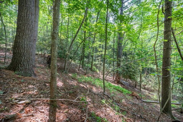 1073 Timberline RD SE, Copper Hill, VA 24079
