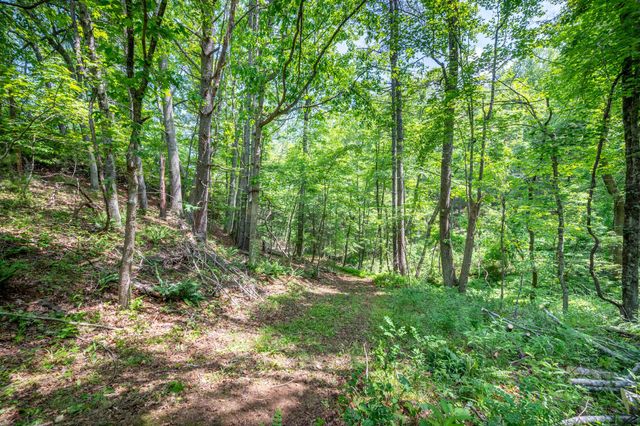 1073 Timberline RD SE, Copper Hill, VA 24079