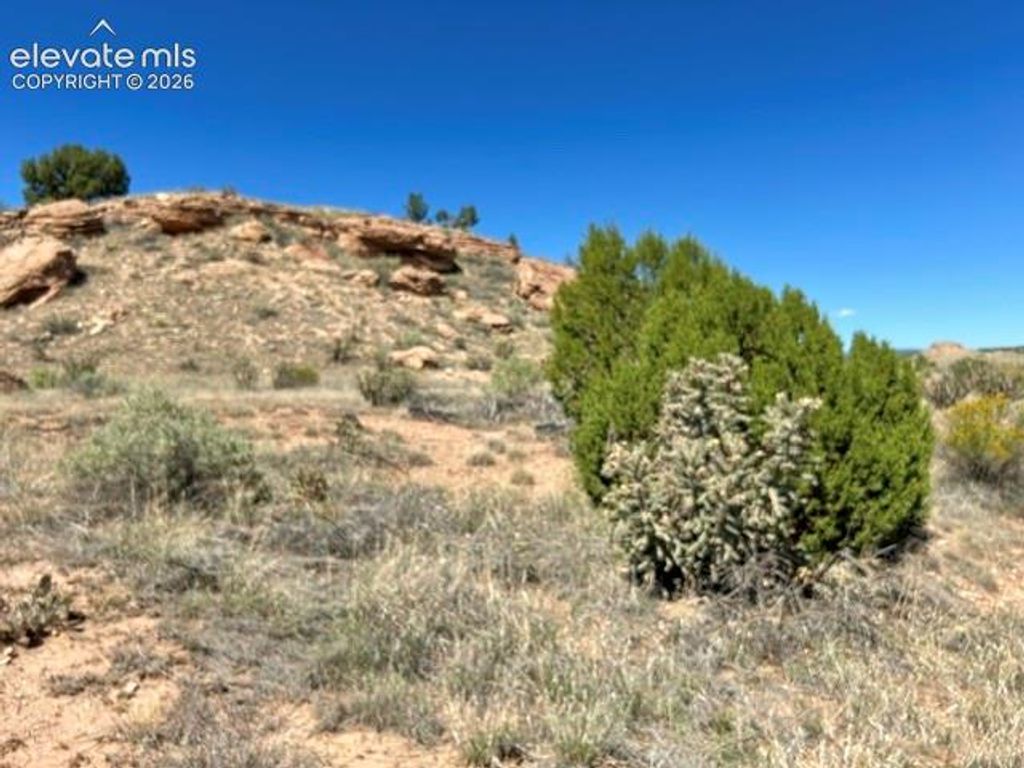 0 Bowie Road, Penrose, CO 81240 — exterior