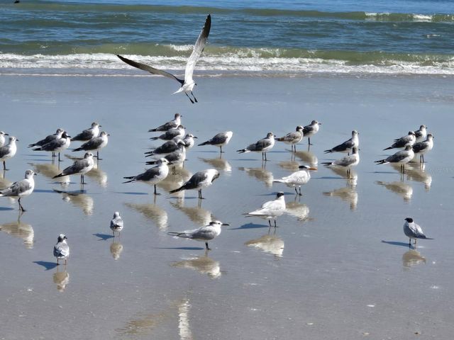 527 SAFE HARBOR DRIVE, Edgewater, FL 32141