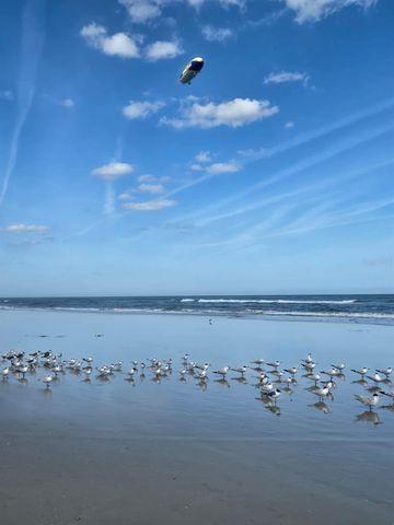 527 SAFE HARBOR DRIVE, Edgewater, FL 32141