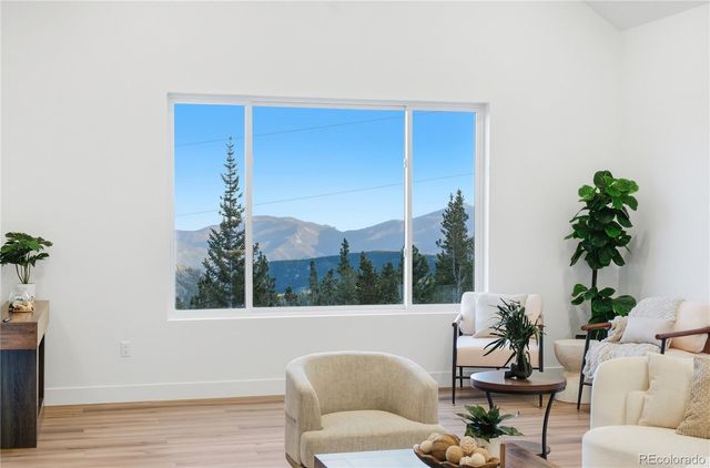 185 Hillside Road, Idaho Springs, CO 80452