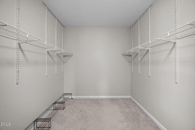 9212 Sayornis Court, Raleigh, NC 27615