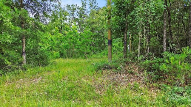 413 N Settlers Way, Trinity, TX 75862