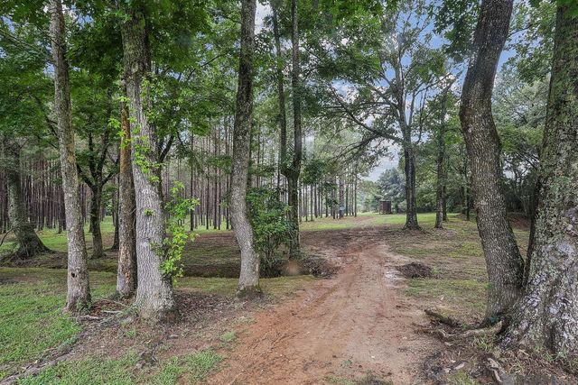 5585 La Hwy 966, St Francisville, LA 70775