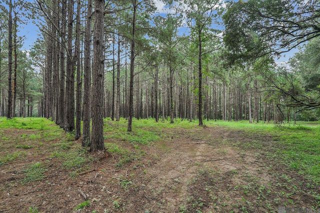 5585 La Hwy 966, St Francisville, LA 70775