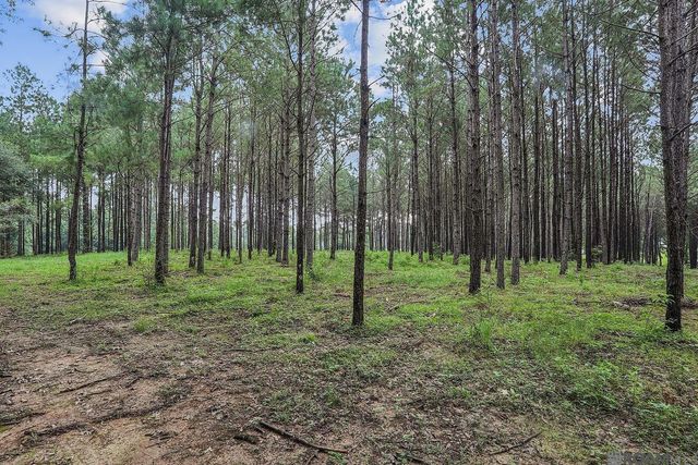 5585 La Hwy 966, St Francisville, LA 70775