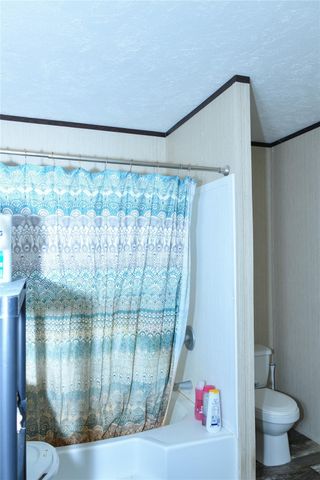 286 Green Oak Drive, Manvel, TX 77578