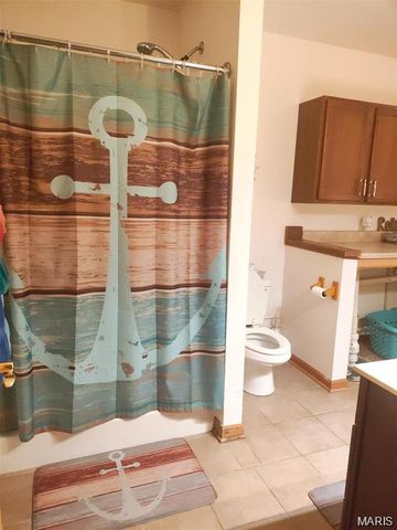 677 State Highway AA, Piedmont, MO 63957