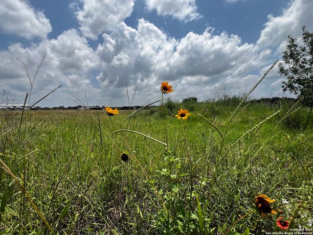 TBD, LOT 5 Sanctuary Ln, Von Ormy, TX 78073