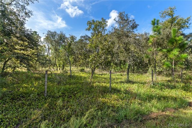 4274 W Field Street, Homosassa, FL 34446