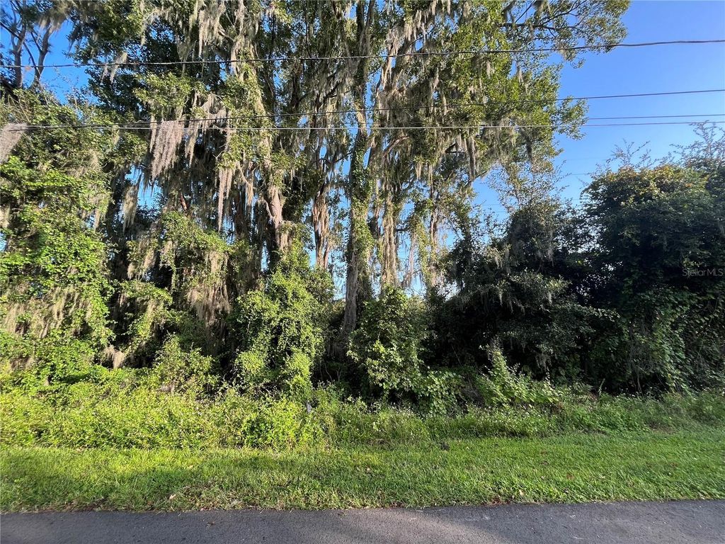270 TOMS ROAD, Debary, FL 32713