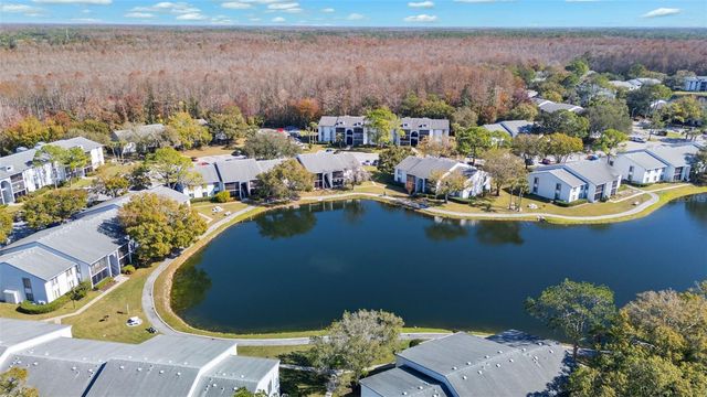 1207 PINE RIDGE CIRCLE W G2, Tarpon Springs, FL 34688