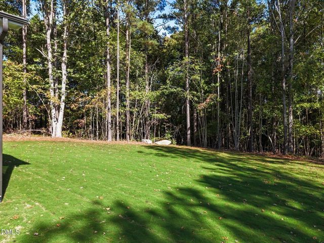 35 Broadleaf Lane 19, Youngsville, NC 27596