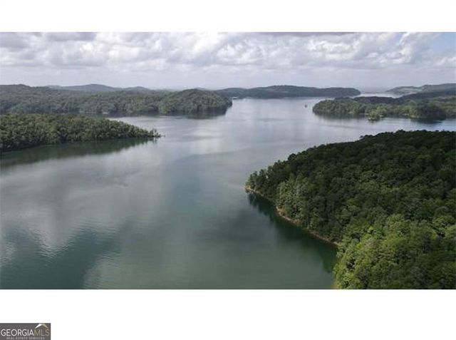 208 Lake Forest Drive LOT 51, Ellijay, GA 30540