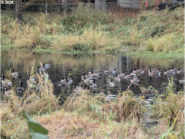 335 Ne HILLWOOD Dr, Hillsboro, OR 97124