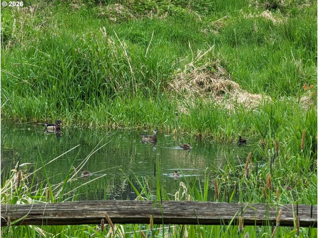 335 Ne HILLWOOD Dr, Hillsboro, OR 97124