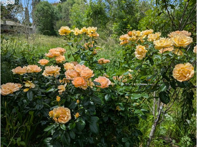 335 Ne HILLWOOD Dr, Hillsboro, OR 97124