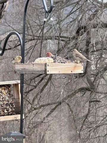 724 E CURTIN ST, Bellefonte, PA 16823