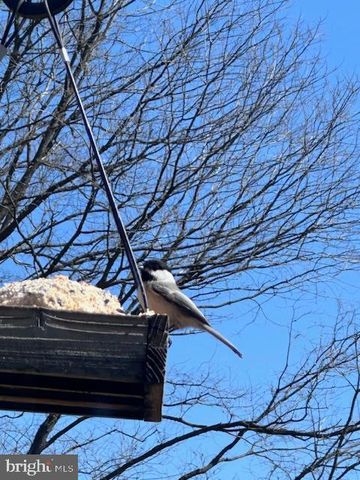 724 E CURTIN ST, Bellefonte, PA 16823