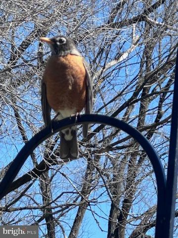 724 E CURTIN ST, Bellefonte, PA 16823