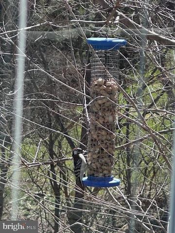 724 E CURTIN ST, Bellefonte, PA 16823