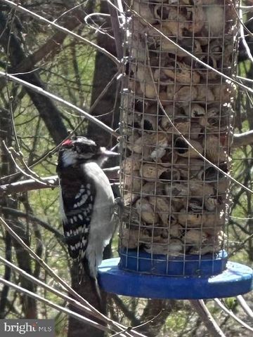 724 E CURTIN ST, Bellefonte, PA 16823